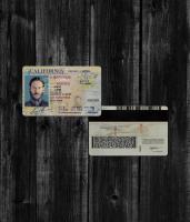 California Driver License OLD2