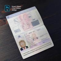 Georgia Passport 2010+ PSD1