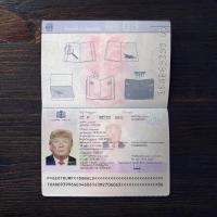 Georgia Passport 2010+ PSD2