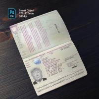 Poland Passport 2011+ PSD1