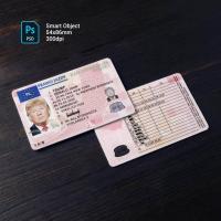 Poland Driver License 2013+ 1