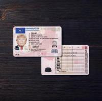 Poland Driver License 2013+ 2