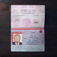 Russia Passport 2010+ PSD2