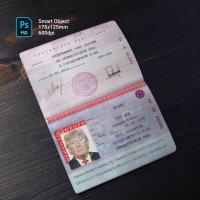 Russia Passport 2010+ PSD1