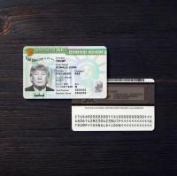 USA Green Card 2010+ PSD2