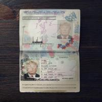 Britain Passport 2019+ PSD2