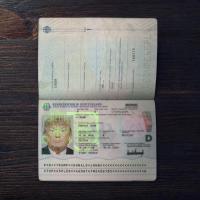 Germany Passport 2017+ PSD2