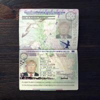 Britain Passport 2011+ PSD2