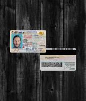 Califonia Driver License NEW2