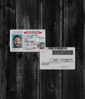 Illinois Driver License NEW2