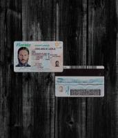 Florida Driver License NEW2