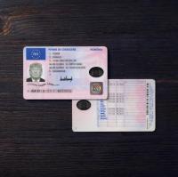 Romania Driver License 2013+2