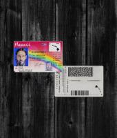 Hawaii Driver License NEW2