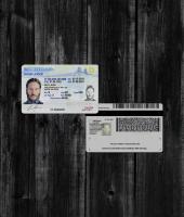 Michigan Driver License NEW2