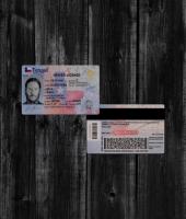 Texas Driver License NEW2