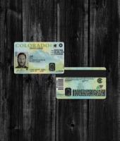 Colorado Driver License NEW v22