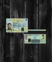 Colorado Driver License PSD v12