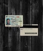 Minnesota Driver License NEW2