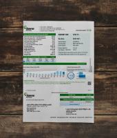 Utility bill | Ameren | USA | MO2