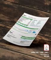 Utility bill | Ameren | USA | MO1