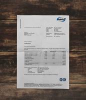 Utility bill | Enviam | Germany | DE2