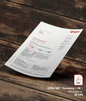 Utility bill | EON | Germany | DE1