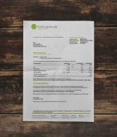 Utility bill | Fuenfwerke | Germany | DE2