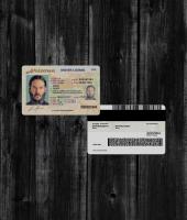 Arizona Driver License NEW2